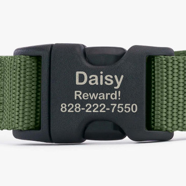 Plastic buckle showing optional personalization on a webbing martingale dog collar